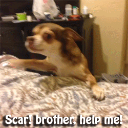 evil GIF