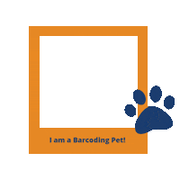 Cat Film Sticker by DecisionPoint Technologies