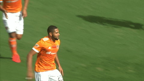 soccer celebration GIF by Houston Dynamo