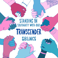 Trans Day Of Visibility Pride Sticker by LA vs. Hate