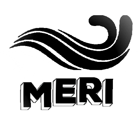 Meribottles giphygifmaker meri meribottles meri wave GIF