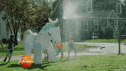 summer fun GIF by Rachael Ray Show