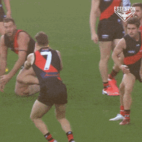 Essendon Bombers Football GIF by Essendon FC