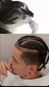 Haytor GIF
