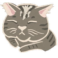 yumicatcat cat lick yumi yumicatcat Sticker