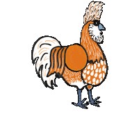 Chicken Rooster Sticker