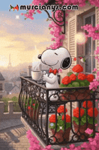 Amigos Buenos Dias GIF by Murcianys LLC