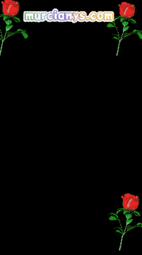 Dia Flores GIF by Murcianys LLC