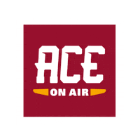 Check This Out On Air Sticker by University of Louisiana Monroe