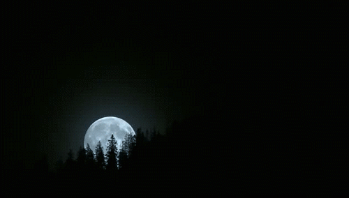 full moon luna GIF