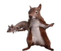 Robert Downey Jr Kevin Sticker by Dolittle