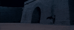 GIF by Crouching Tiger, Hidden Dragon 