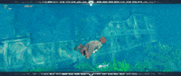 Lets Go Swimming GIF by Gameforge