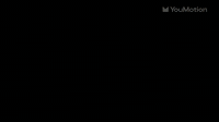 Animated Fireworks