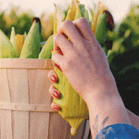 GIF by Odell Brewing Company