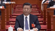China GIF by euronews