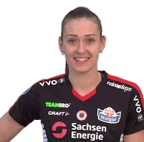 DSCVolley reaction sports bundesliga hearts Sticker