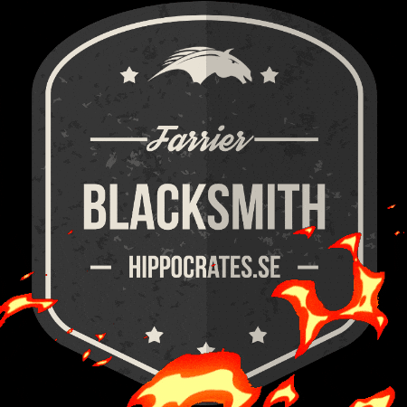 Blacksmith Farrier GIF by Hippocrates