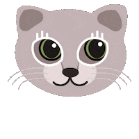 Cat Love Sticker