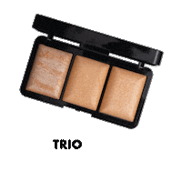 Cosmetics Highlighter Sticker by PAC