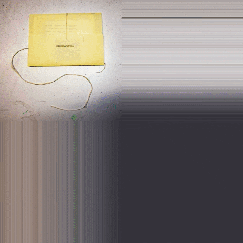 laurapalmerd1d2 giphygifmaker mono ebrio editorial GIF