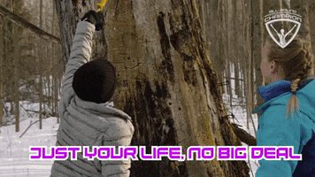 allroundchampiontv champion athlete climbing arc GIF