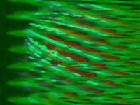 Video Art GIF by cskonopka