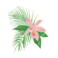 Flowers Palm Sticker by Heidi Swapp