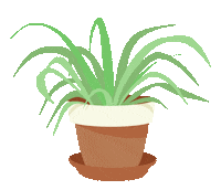 Home Plant Sticker by Nazaret Escobedo