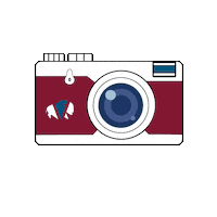 Photography Camera Sticker by Vuba Resin Products