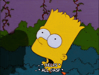 bart simpson belle GIF