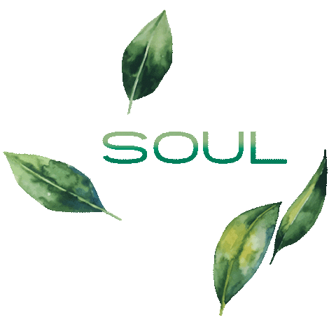 soulhairbrazil giphyupload soul cabelo cosmeticos Sticker