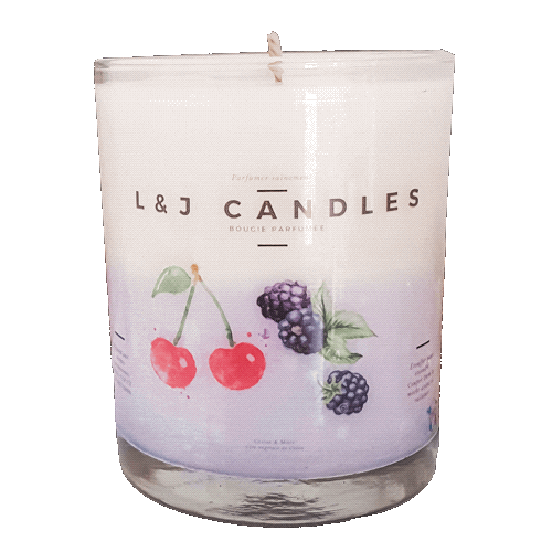 ljcandles giphyupload candle candles bougie Sticker