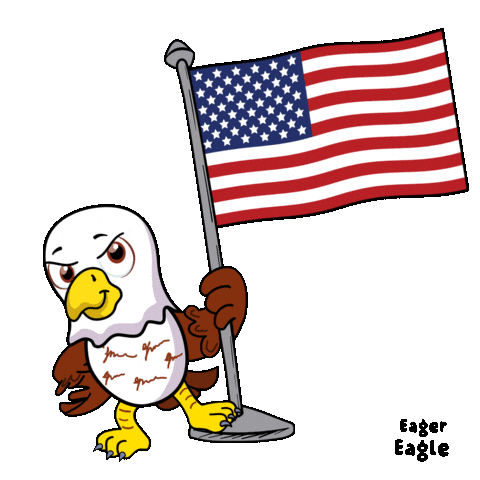 American Usa Sticker by VeeFriends