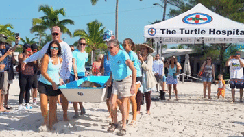 Rehabilitated Loggerhead Turtle Released Back Into Sea Off Key West