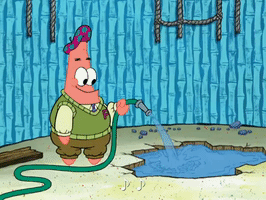 season 8 episode 3 GIF by SpongeBob SquarePants