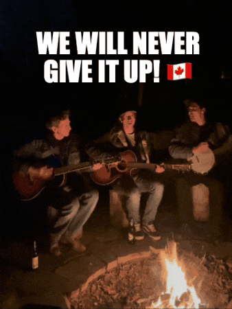 Canadian GIF by Adam Wendler