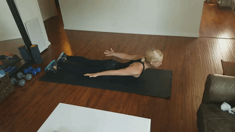 jackrabbit22 giphyupload GIF