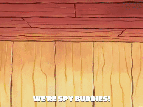 season 5 GIF by SpongeBob SquarePants
