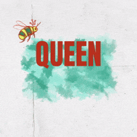 Queen Bee GIF by Avallen Spirits