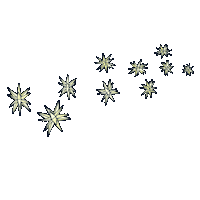 Stars Dazzling Sticker by Pittsburgh Botanic Garden