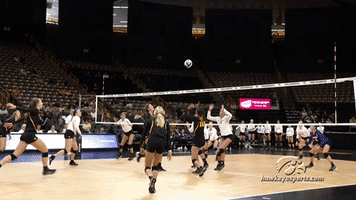 volleyball GIF by University of Iowa Hawkeyes Athletics