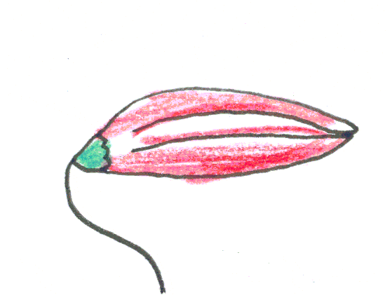 Flower Mocking GIF by nikitaliskov