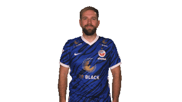 Hansa Rostock Fifa Sticker by Bundesliga
