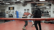 viceland GIF by MY HOUSE