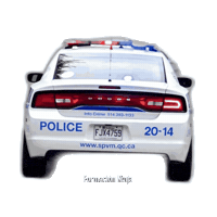 Police Car Seguridad Vial Sticker by Formación Ninja