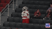 fight mascot GIF by Charlotte Checkers