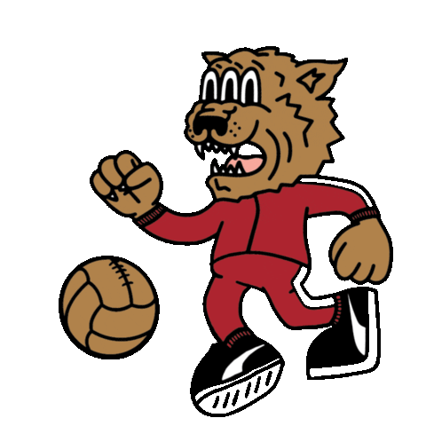 Hometownheroes Sticker by PUMA