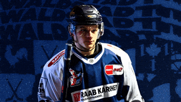 Goal Hockey GIF by Iserlohn Roosters