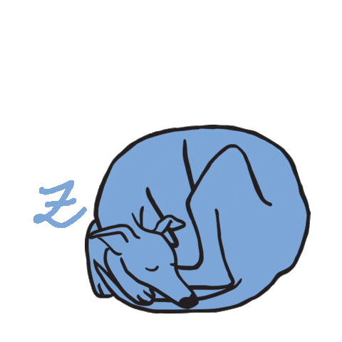 dogs zzz Sticker by elgalgoazul